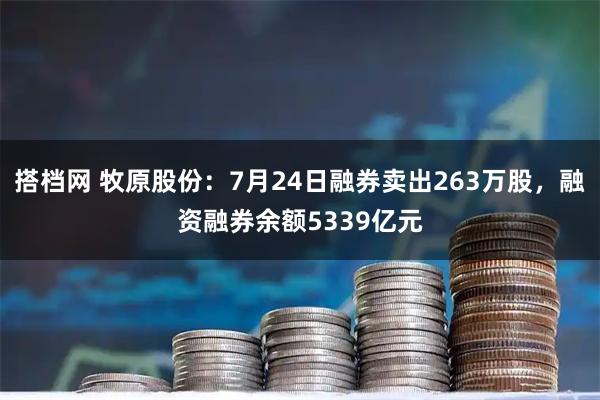 搭档网 牧原股份：7月24日融券卖出263万股，融资融券余额5339亿元