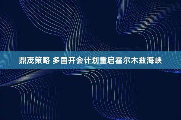 鼎茂策略 多国开会计划重启霍尔木兹海峡